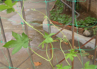 Lưới nhựa 6,5 ​​chân Lưới HDpe Bảo vệ lá bảo vệ vườn