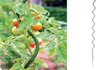 Đường kính 5mm Dây trồng cà chua Chiều cao 1,6m Hình xoắn ốc mạ kẽm