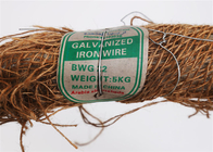 Bwg 21 1kg Cuộn dây điện liên kết mạ kẽm Tráng kẽm
