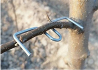 Dụng cụ ép nhánh cây mạ kẽm dài 13CM Sử dụng cây Furit